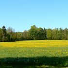 Bergbaulandschaft bei Marienberg