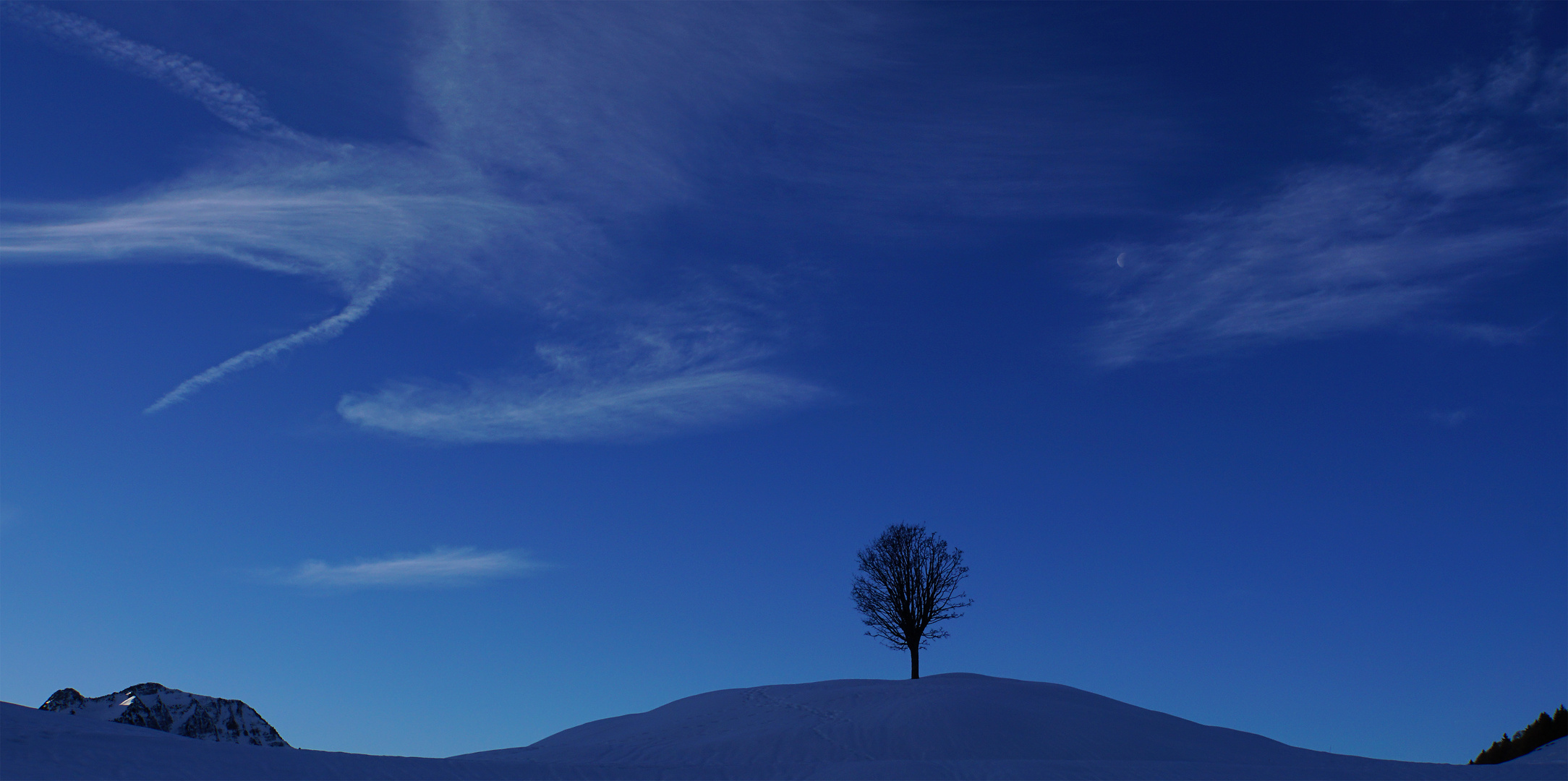 Berg.Baum.Mond.Wald