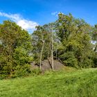 Bergbaurelikte "Kummerhaufen" - jetzt geschützte Biotope ( 3 )