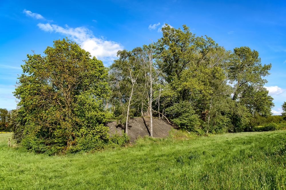 Bergbaurelikte "Kummerhaufen" - jetzt geschützte Biotope ( 3 )