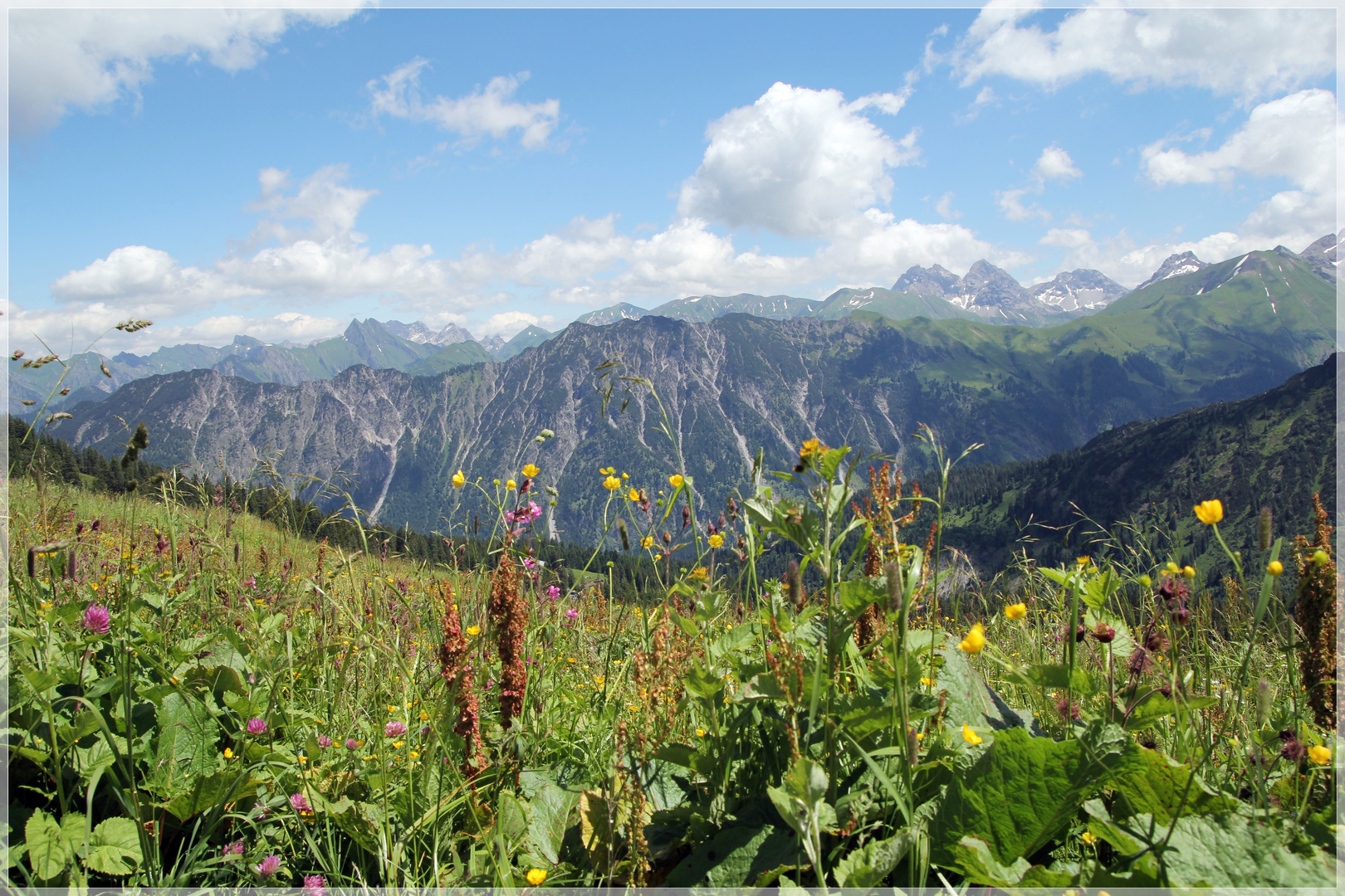 Bergblick