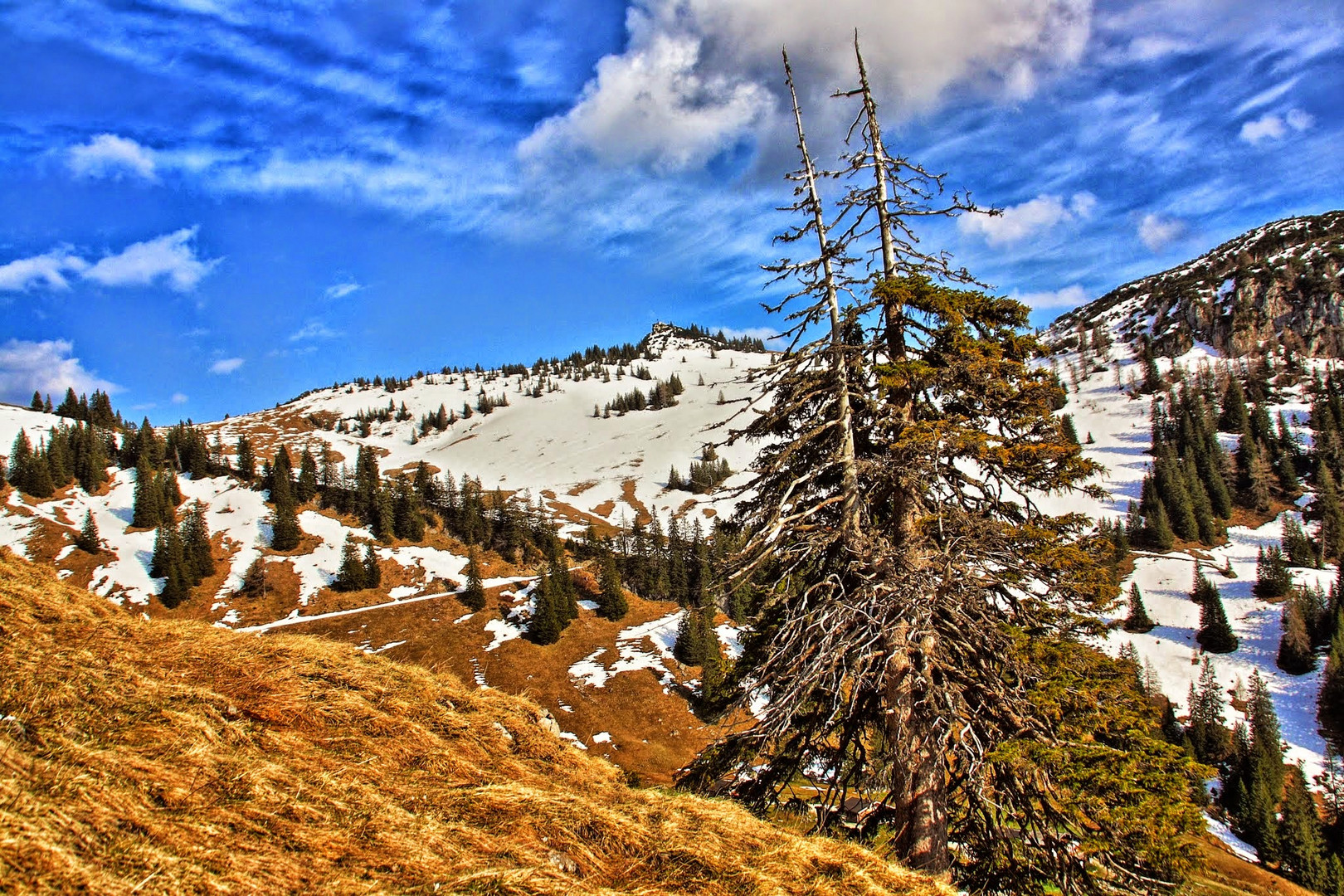 Bergblick