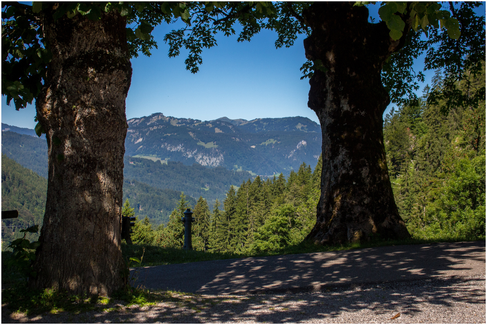 BERGBLICK