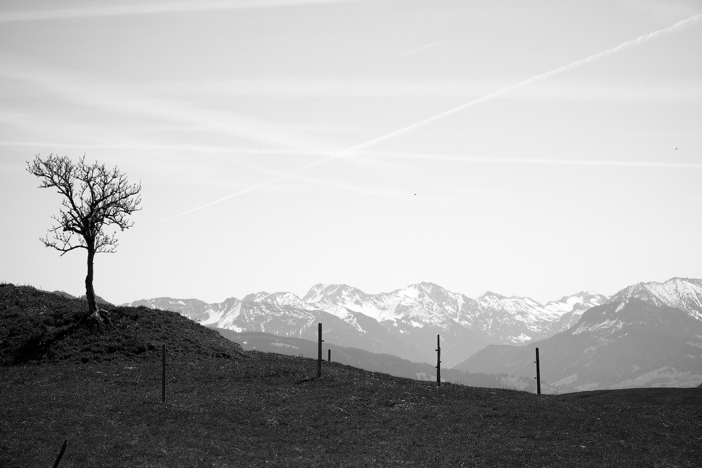 Bergblick