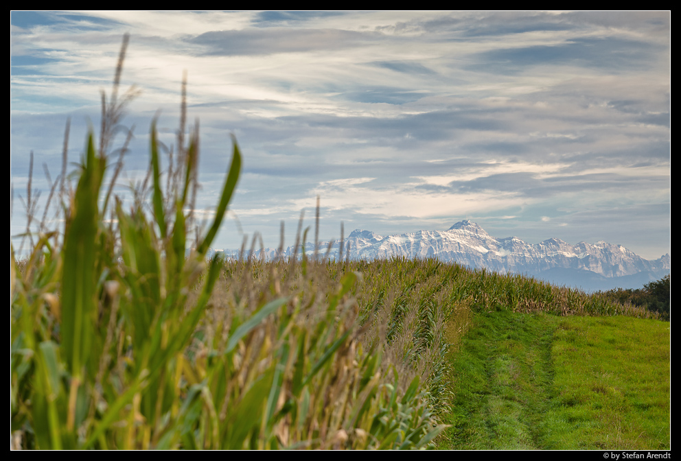 Bergblick