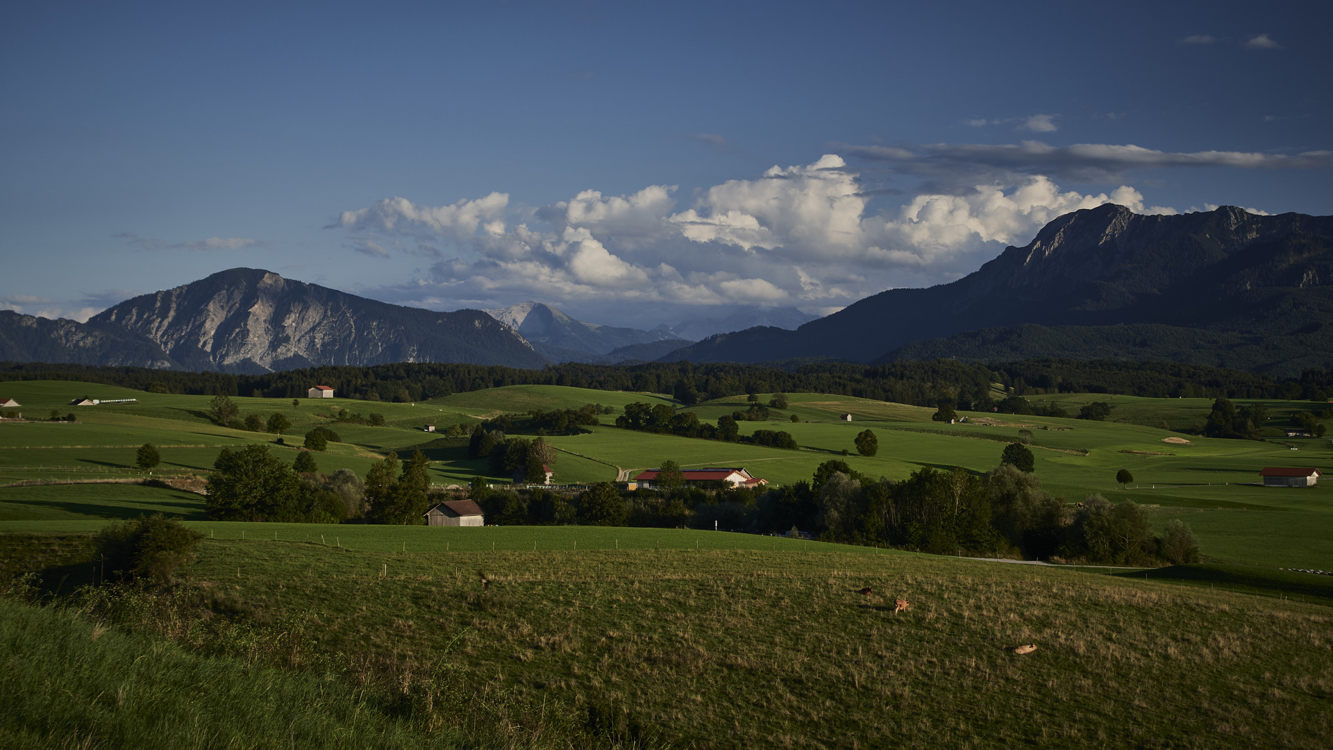 Bergblick ...