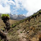 Bergblick am Mount Kenia