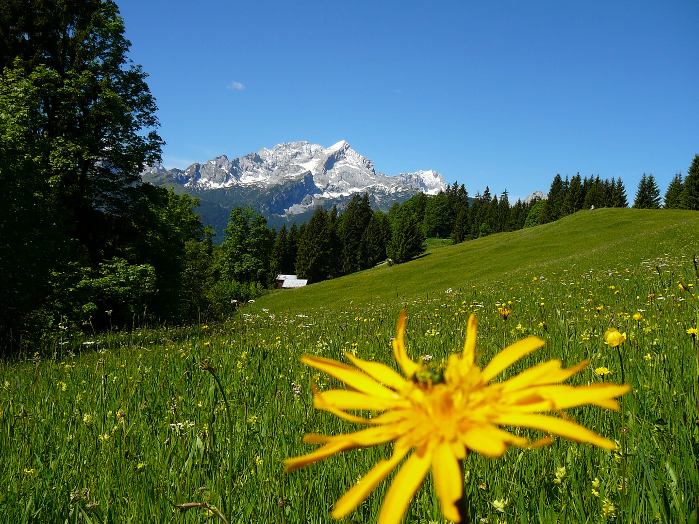 Bergblick