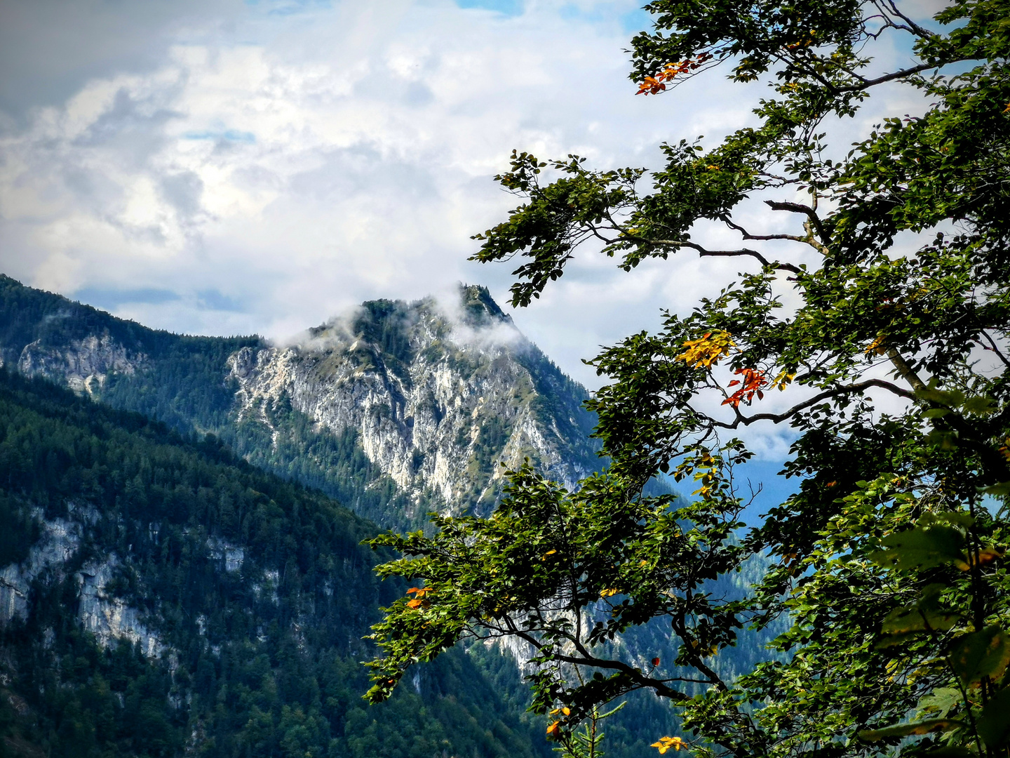 Bergblick