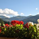 Bergblick vom Balkon