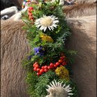 Bergblumen beim Viehscheid