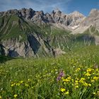 Bergblumen mit Bergwelt