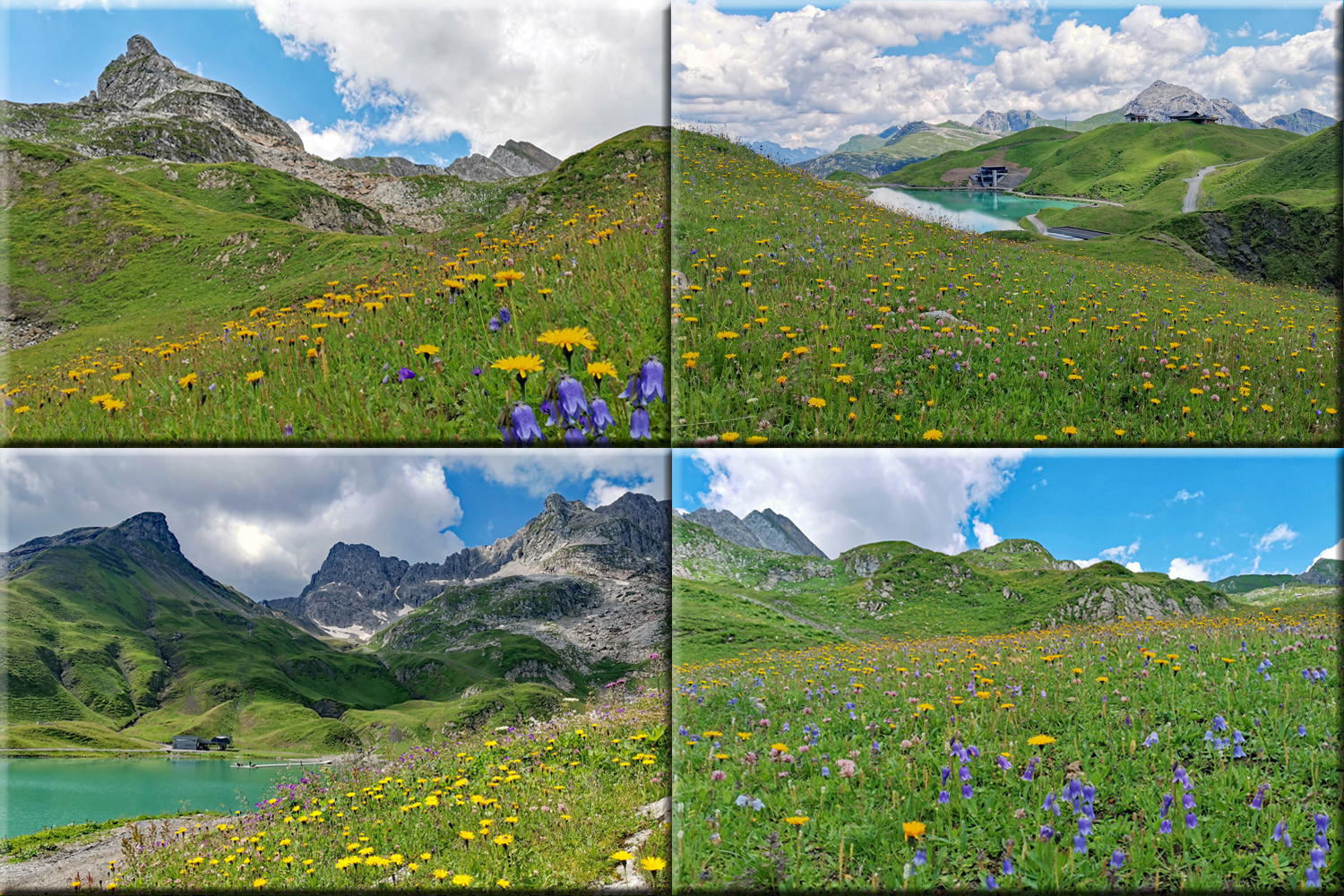 Bergblumenparadies Zürser See!