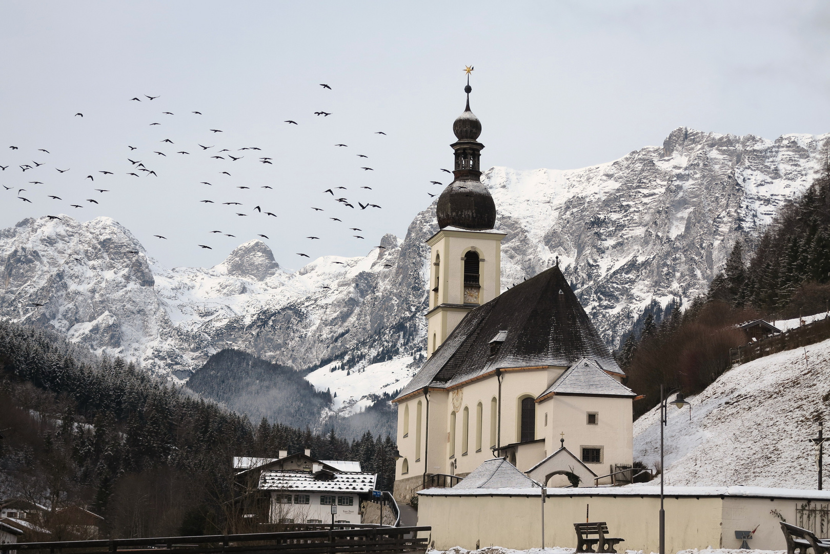 ~ Bergdohlen ~