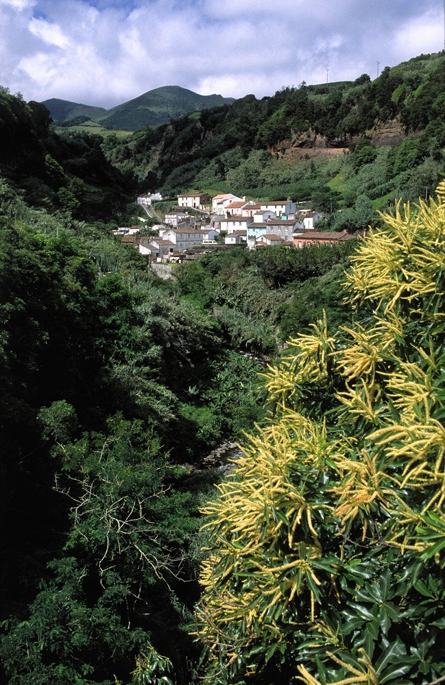 Bergdorf auf den Azoren - São Miguel