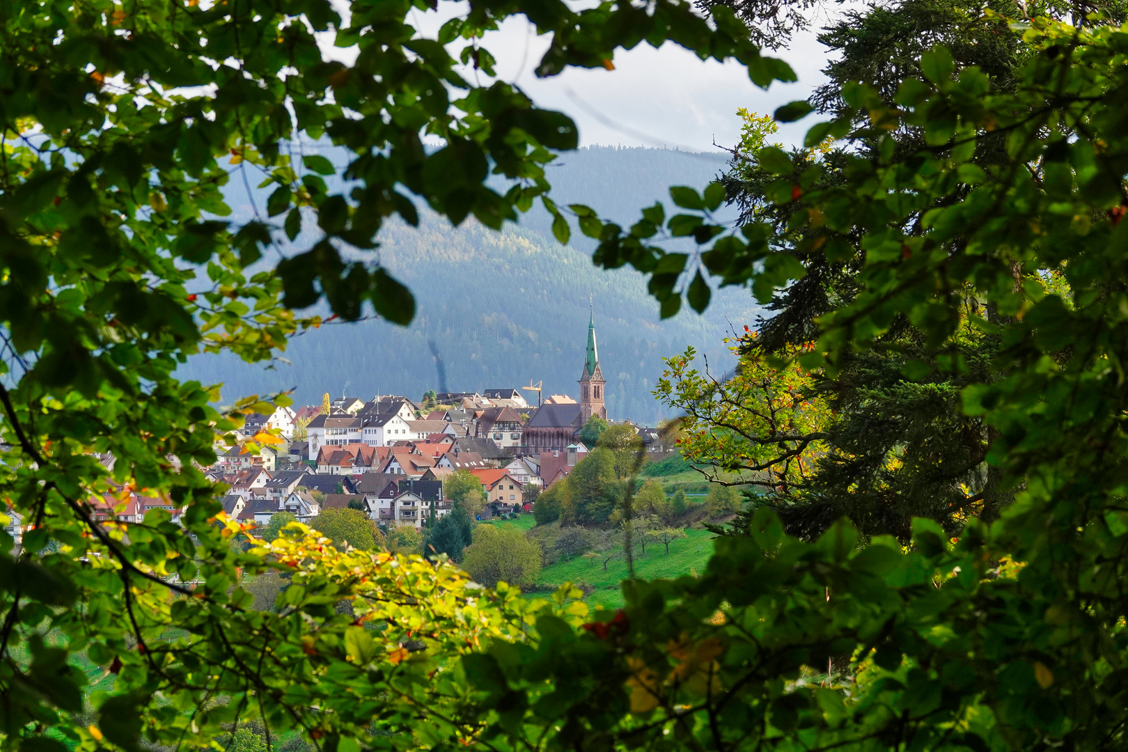 Bergdorf im Schwarzwald 