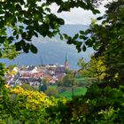 Bergdorf im Schwarzwald 