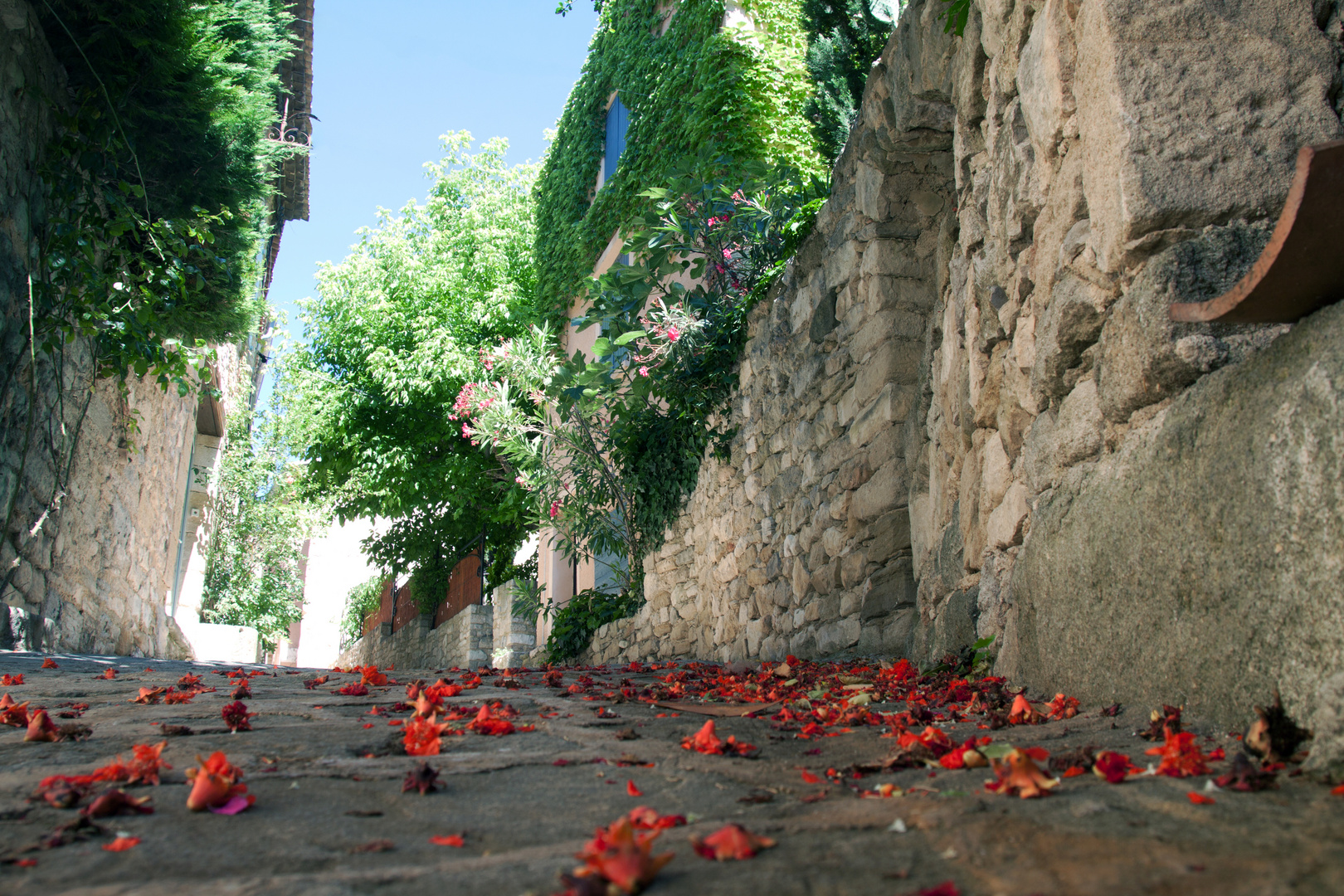 Bergdorf in der Provence