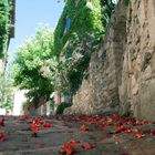 Bergdorf in der Provence