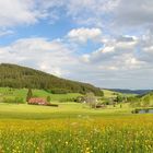 Bergdorf Waldau im Schwarzwald