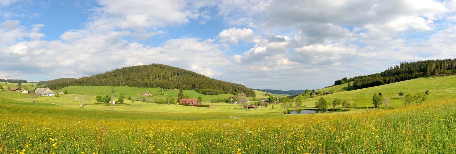 Bergdorf Waldau im Schwarzwald