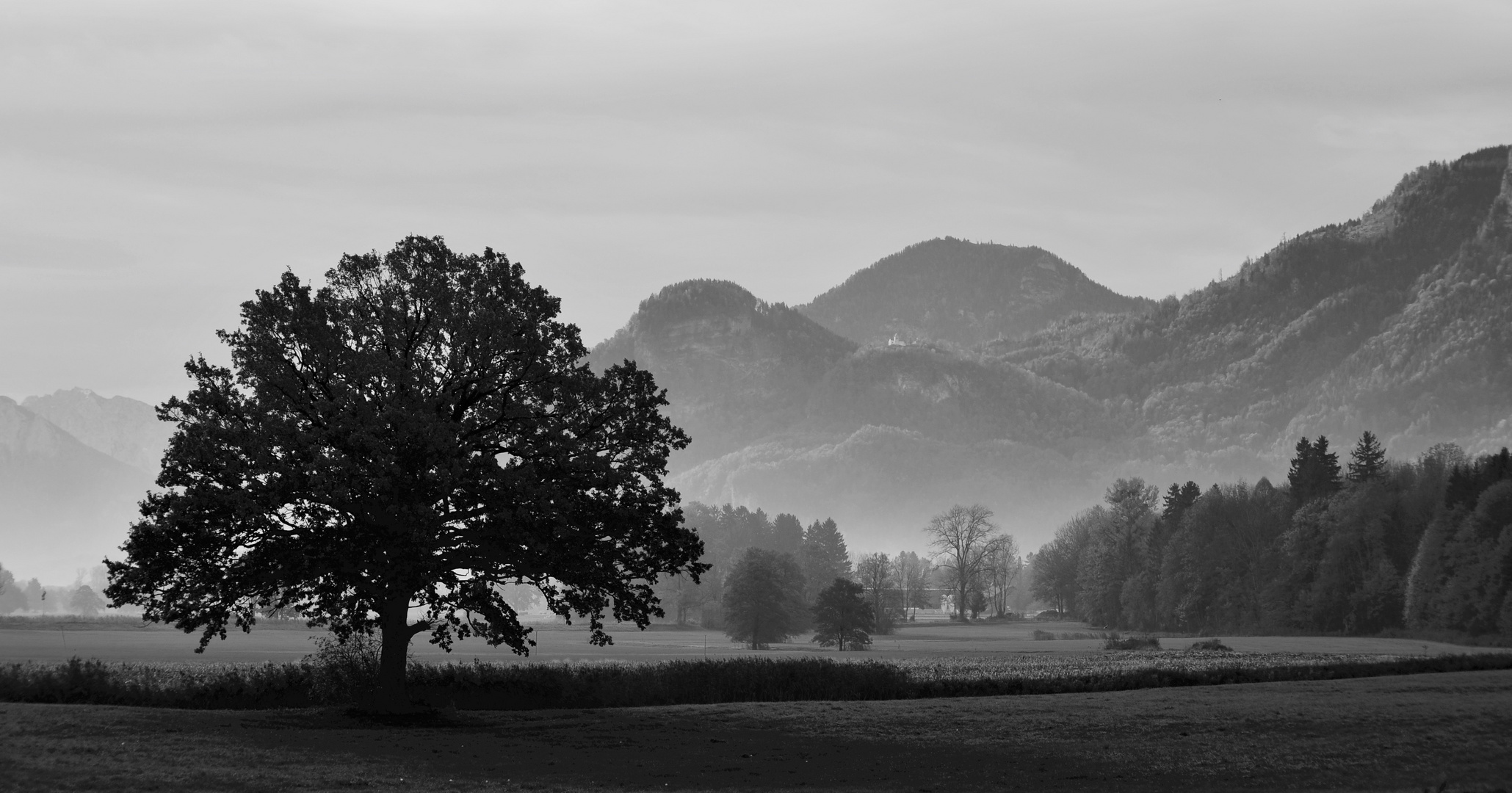 berge bäume 