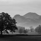 berge bäume 