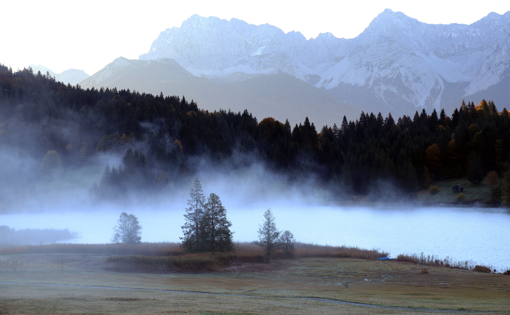 Berge, Bäume und...