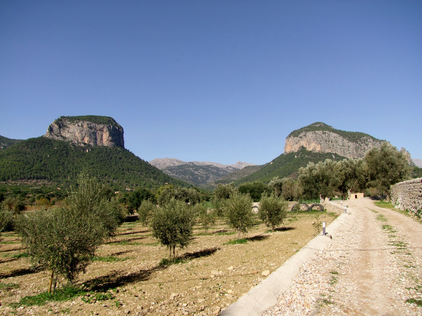 Berge bei Alaro