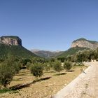 Berge bei Alaro