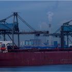 BERGE BUREYA / Ore Carrier / Rotterdam