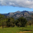 Berge der Tramuntana