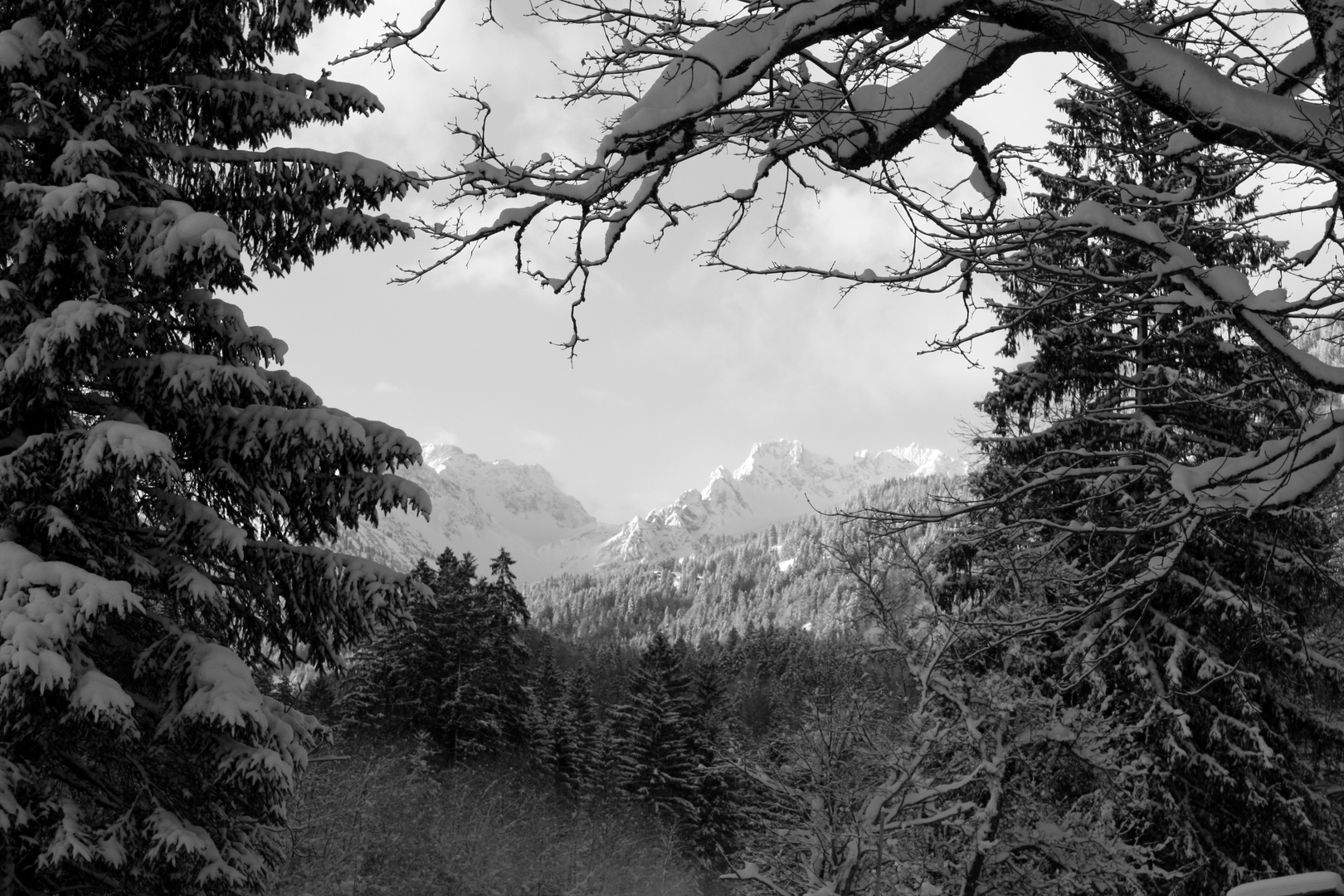 Berge im Allgäu