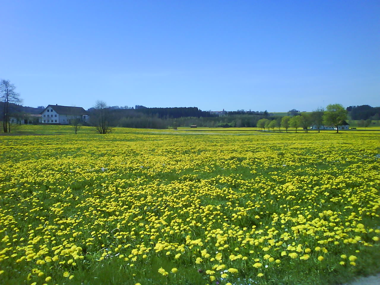 Berge im Allgäu