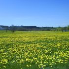 Berge im Allgäu