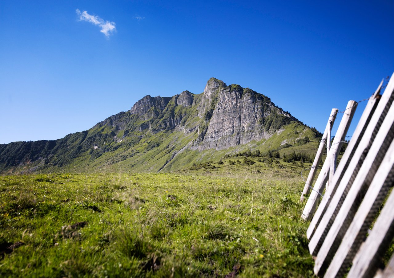 Berge im Bregenzerwald