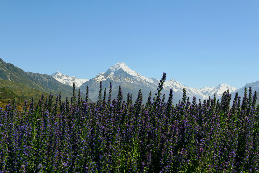 Berge im Hintergrund