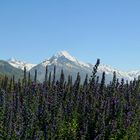 Berge im Hintergrund