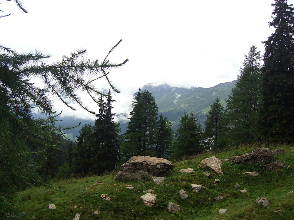 Berge im Nebel