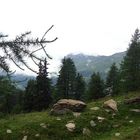 Berge im Nebel