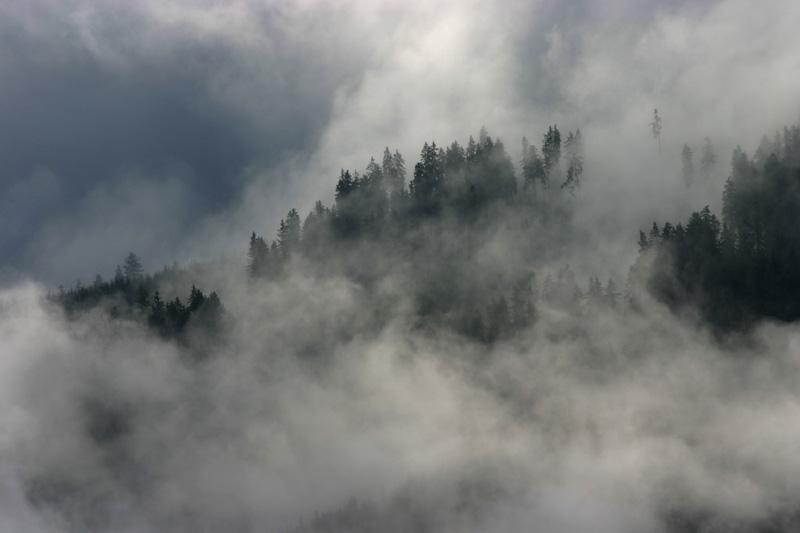 Berge im Nebel