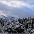 Berge im Nebel