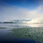 Berge Im Nebel