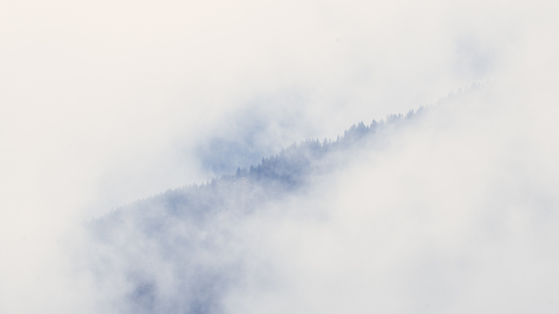 Berge im Nebel IV