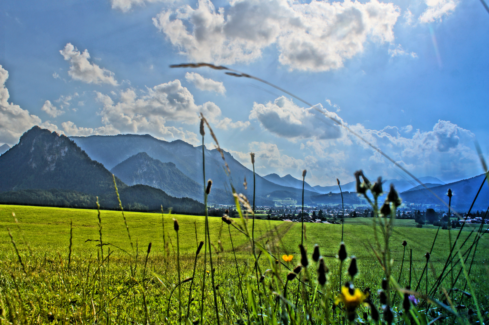 Berge im Sommer