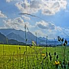 Berge im Sommer