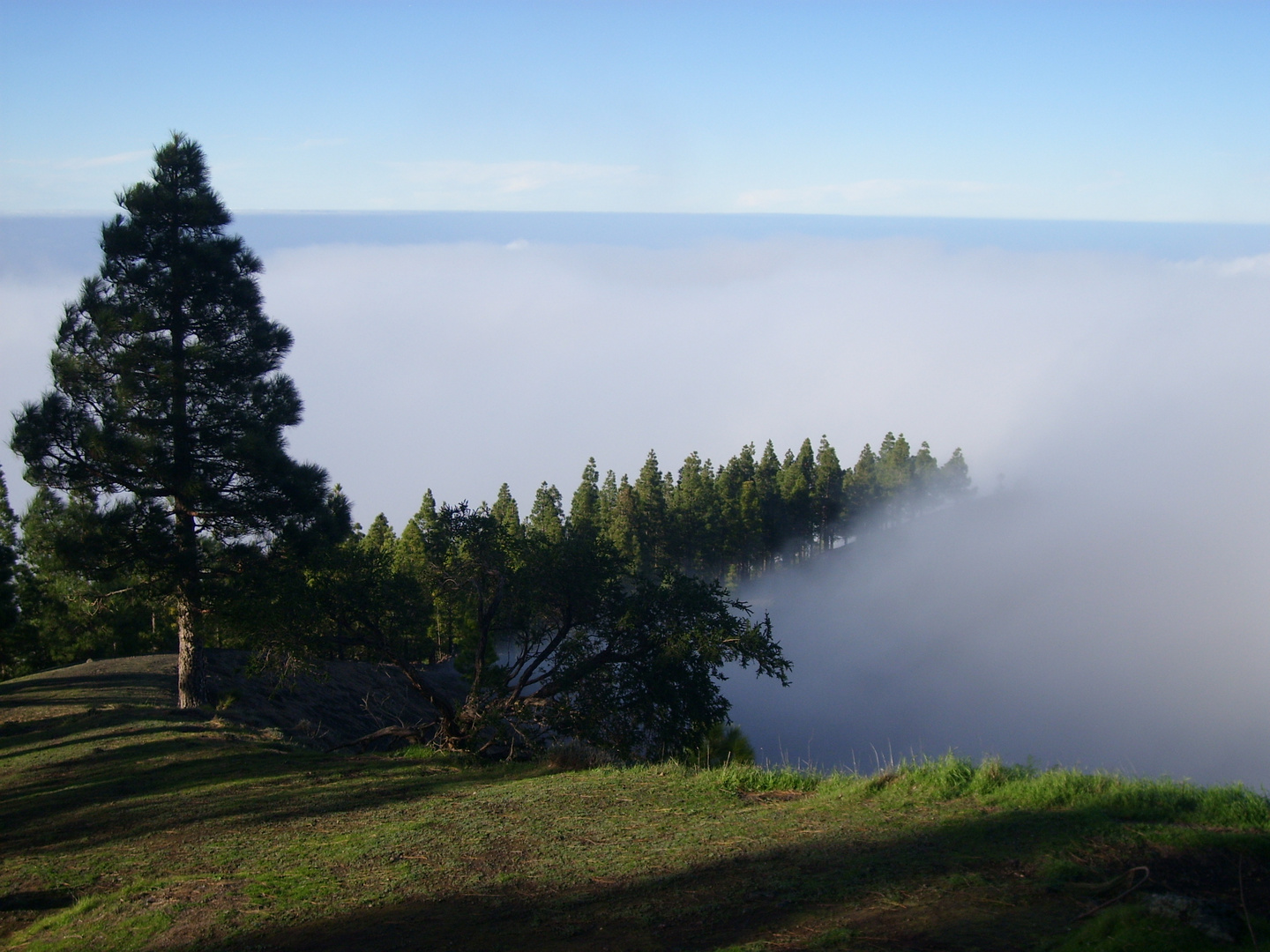 Berge in Gran Canaria