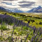 Berge in Neuseeland