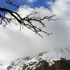 Berge mit Wolken und Äste