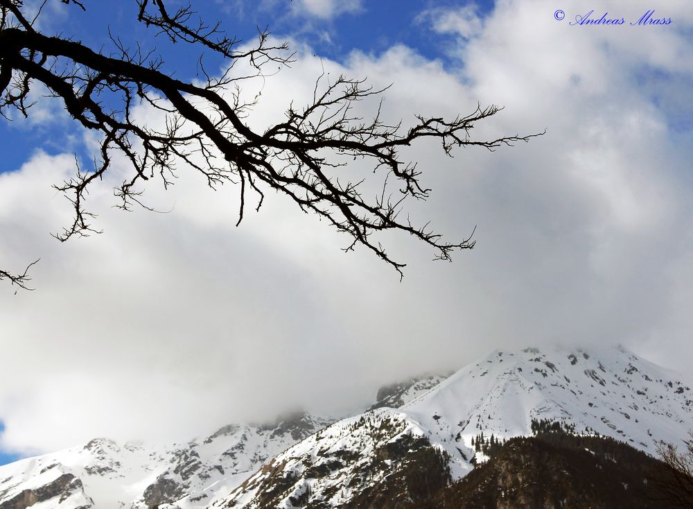 Berge mit Wolken und Äste